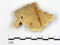 登錄號:F0013980藏品圖，第1張