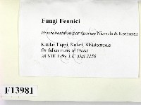 登錄號:F0013981藏品圖，第2張
