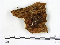 登錄號:F0013981藏品圖，第3張
