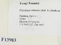 登錄號:F0013983藏品圖，第2張