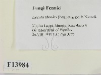 登錄號:F0013984藏品圖，第2張