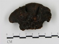 登錄號:F0013984藏品圖，第1張