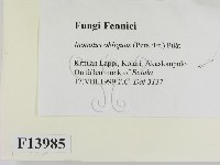 登錄號:F0013985藏品圖，第2張