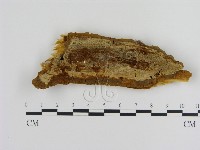 登錄號:F0013985藏品圖，第1張