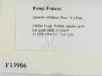 登錄號:F0013986藏品圖，第2張