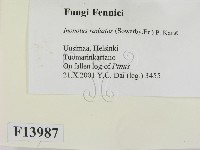 登錄號:F0013987藏品圖，第2張