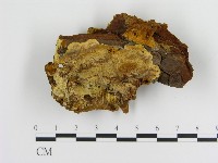 登錄號:F0013987藏品圖，第1張