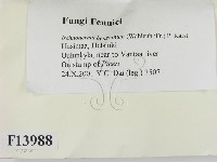 登錄號:F0013988藏品圖，第2張