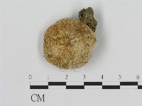 登錄號:F0013989藏品圖，第3張