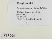 登錄號:F0013990藏品圖，第2張