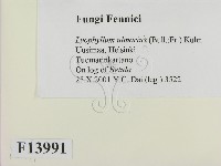 登錄號:F0013991藏品圖，第2張