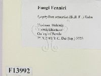 登錄號:F0013992藏品圖，第2張