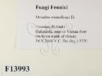 登錄號:F0013993藏品圖，第2張