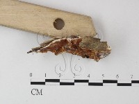 登錄號:F0013993藏品圖，第3張