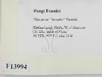 登錄號:F0013994藏品圖，第2張