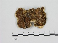 登錄號:F0013994藏品圖，第3張