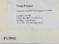 登錄號:F0013995藏品圖，第2張