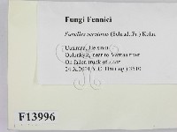 登錄號:F0013996藏品圖，第2張