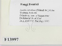 登錄號:F0013997藏品圖，第2張