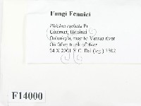 登錄號:F0014000藏品圖，第2張