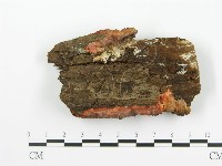 登錄號:F0014000藏品圖，第3張