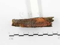 登錄號:F0014000藏品圖，第4張