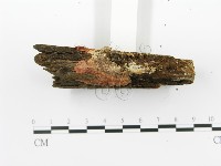 登錄號:F0014000藏品圖，第5張
