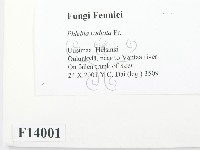 登錄號:F0014001藏品圖，第2張
