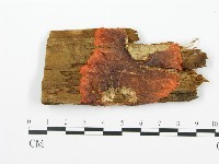 登錄號:F0014001藏品圖，第1張