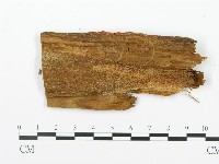 登錄號:F0014001藏品圖，第3張