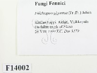 登錄號:F0014002藏品圖，第2張