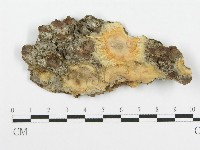 登錄號:F0014002藏品圖，第1張