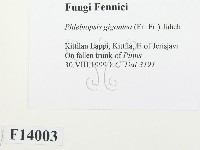 登錄號:F0014003藏品圖，第2張