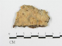 登錄號:F0014003藏品圖，第1張
