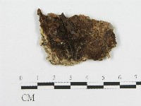 登錄號:F0014003藏品圖，第3張