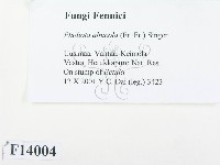 登錄號:F0014004藏品圖，第2張