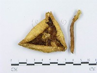 登錄號:F0014004藏品圖，第1張
