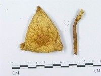 登錄號:F0014004藏品圖，第3張
