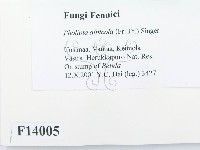 登錄號:F0014005藏品圖，第2張