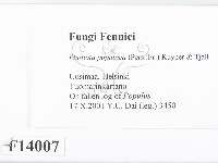 登錄號:F0014007藏品圖，第2張