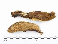 登錄號:F0014007藏品圖，第3張