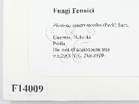 登錄號:F0014009藏品圖，第2張