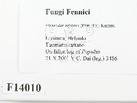 登錄號:F0014010藏品圖，第2張