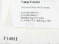 登錄號:F0014011藏品圖，第2張