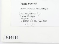 登錄號:F0014014藏品圖，第2張