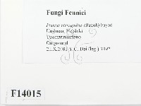 登錄號:F0014015藏品圖，第2張