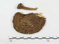 登錄號:F0014015藏品圖，第1張