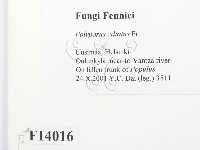 登錄號:F0014016藏品圖，第2張