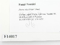 登錄號:F0014017藏品圖，第2張