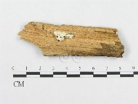 登錄號:F0014017藏品圖，第3張